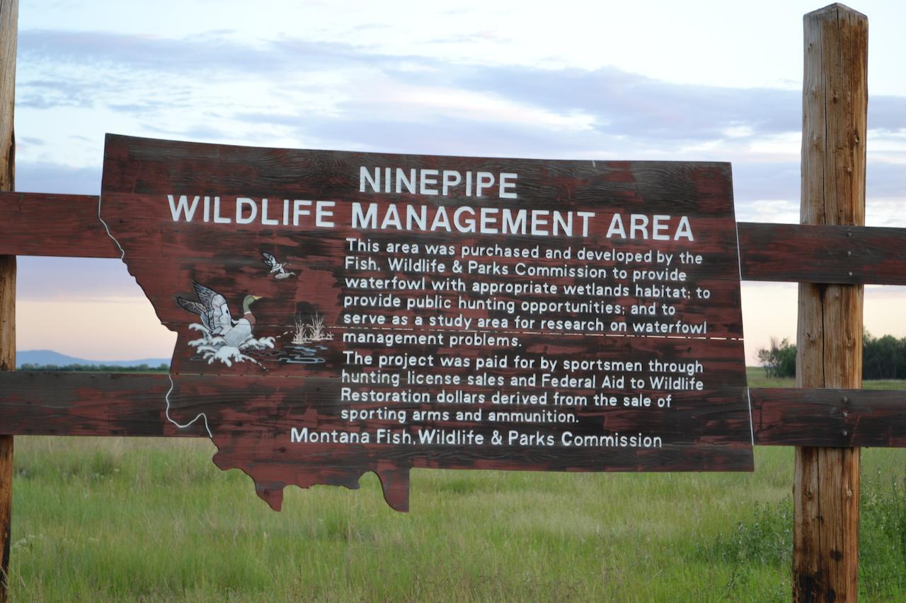 Ninepipes Lodge Polson Exterior foto